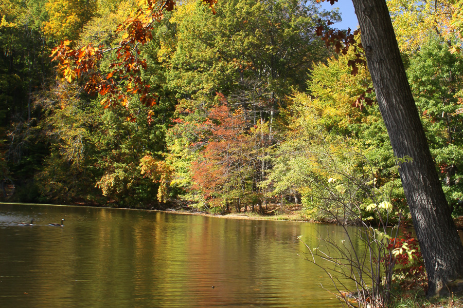 Morris Plains Borough