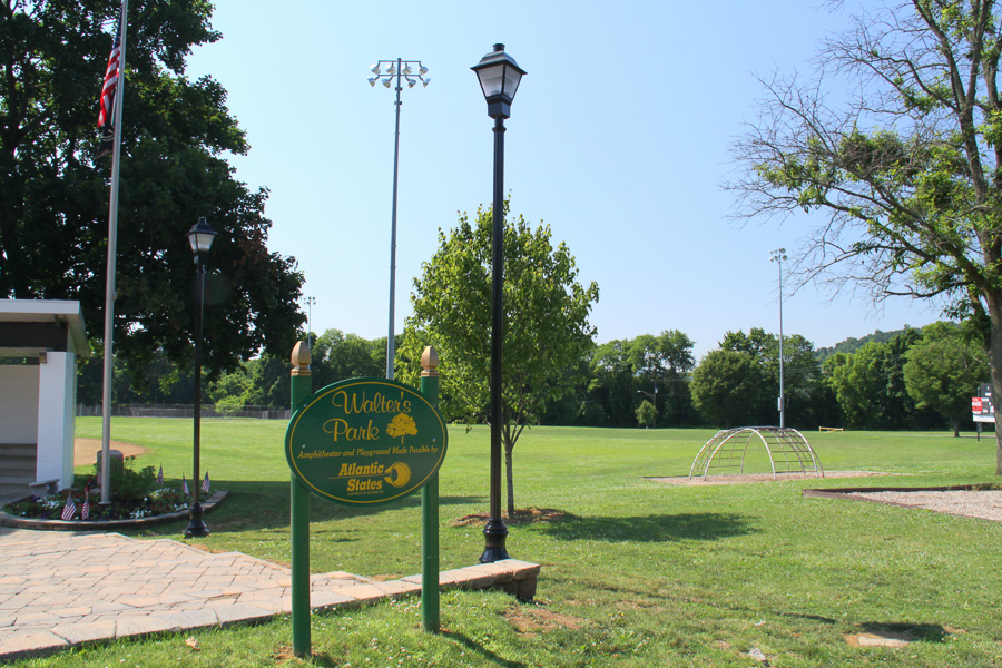 municipal park and tree