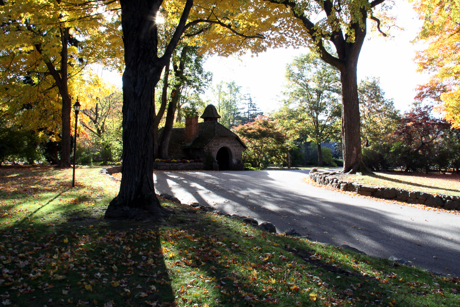 ringwood manor botanical garden