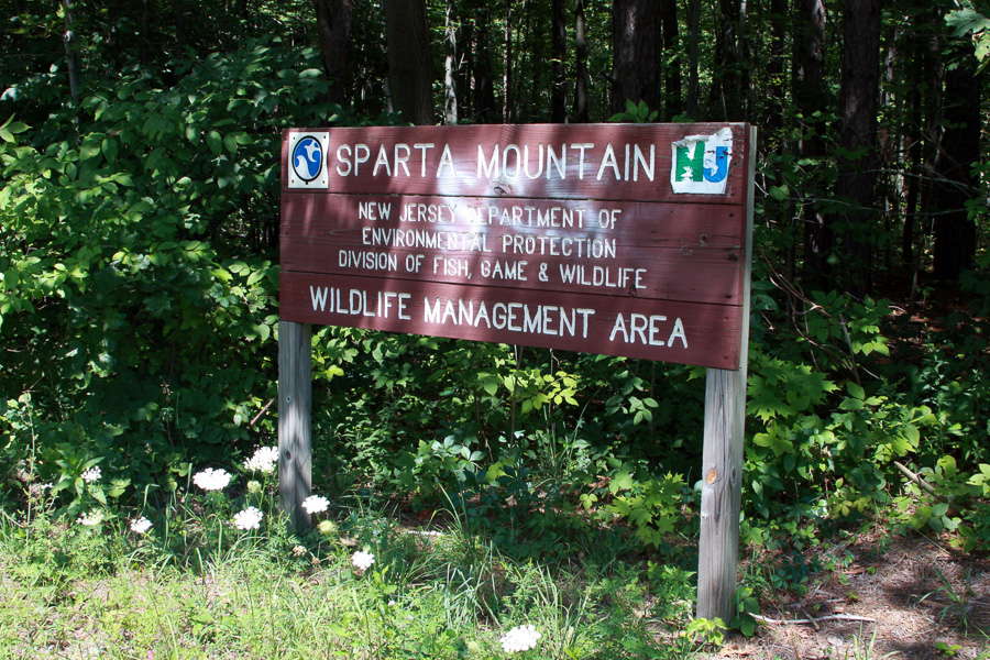 Sparta Township
