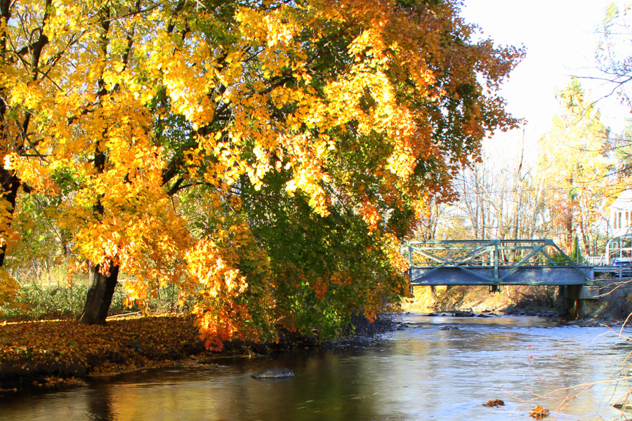 Tewksbury Township