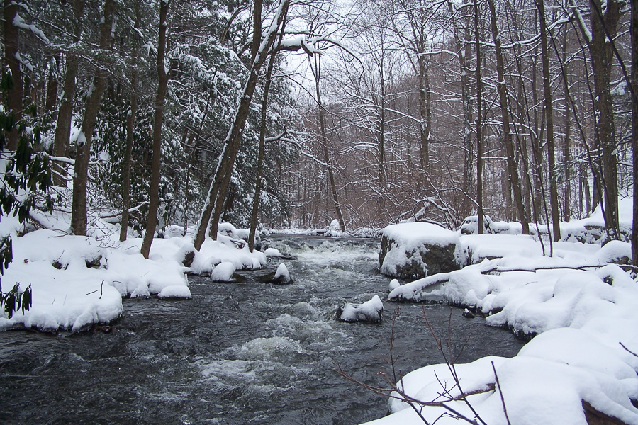Vernon Township