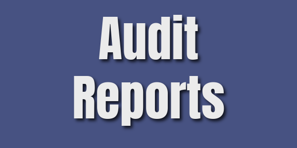 graphic with words Audit Reports