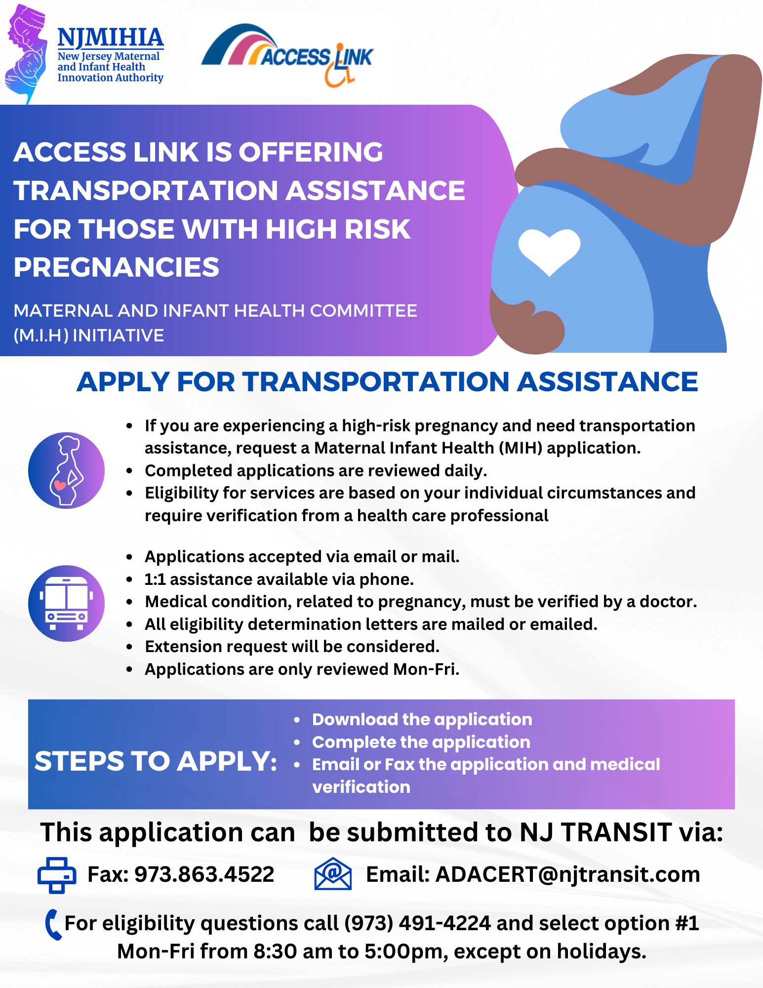 screenshot of Access Link flyer