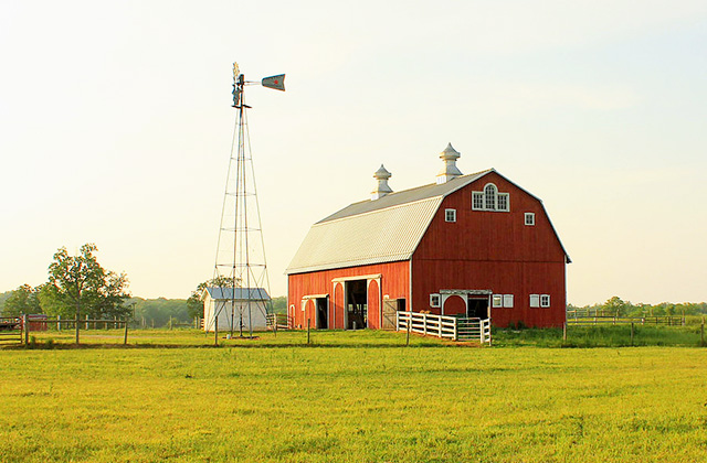 Photo of a windmill and a barn