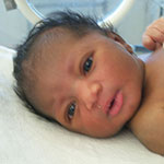 (Click for larger view)