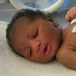 (Click for larger view)