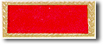Trooper of the Year ribbon
