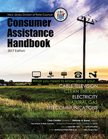 Consumer Handbook