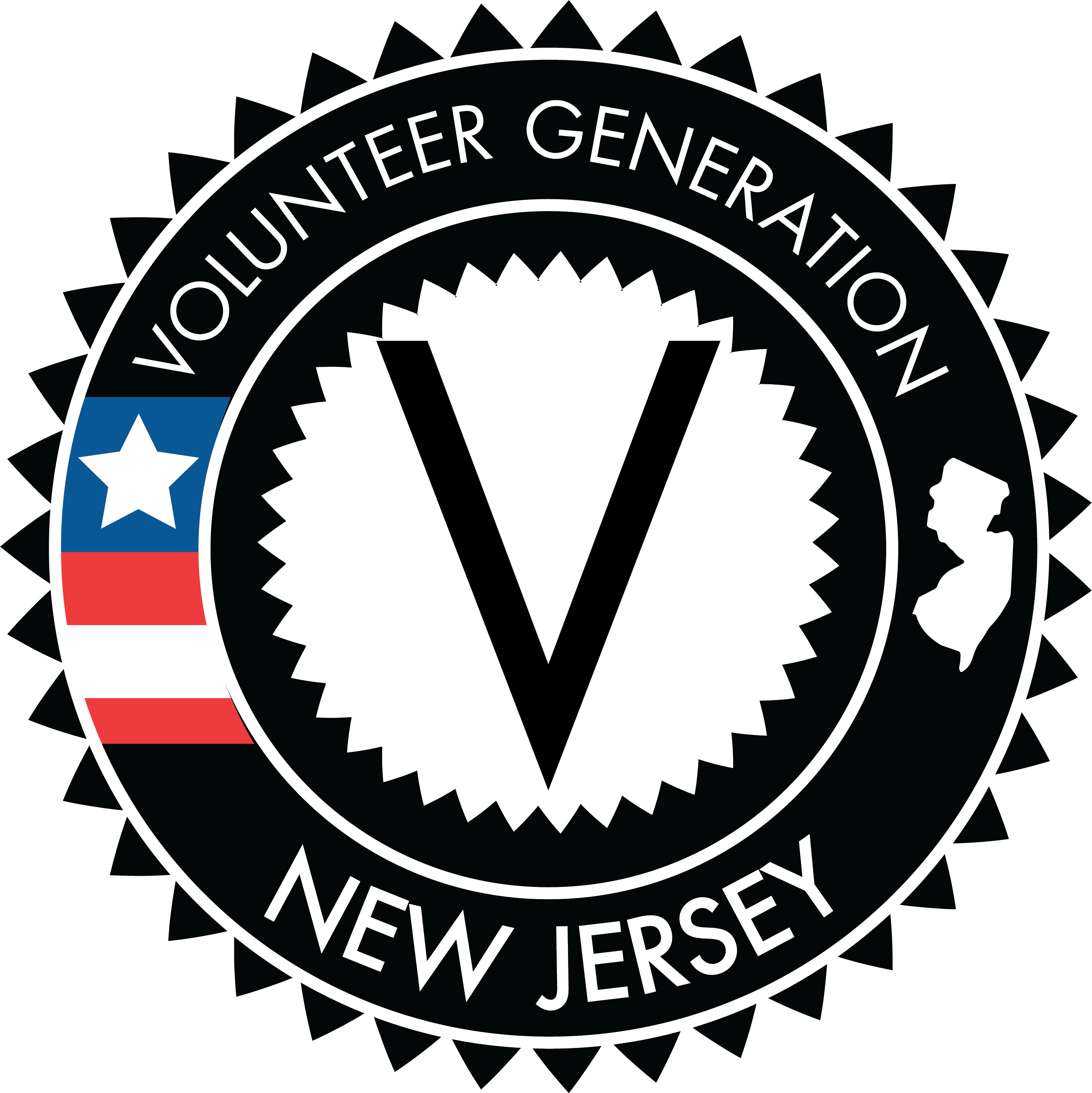 volunteer generation Logo
