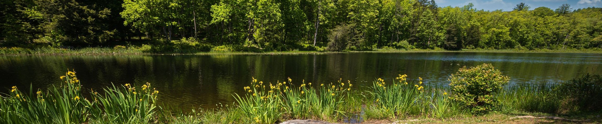Lake Ocquittunk in Stokes State Forest New Jersey