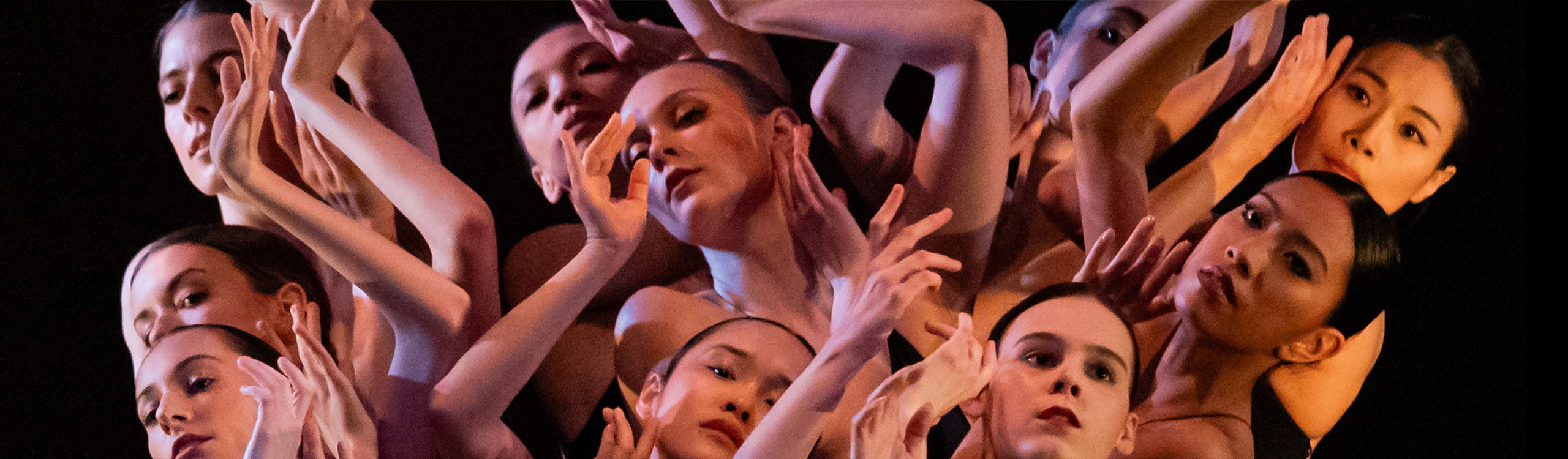 a group of ballet dancers performing