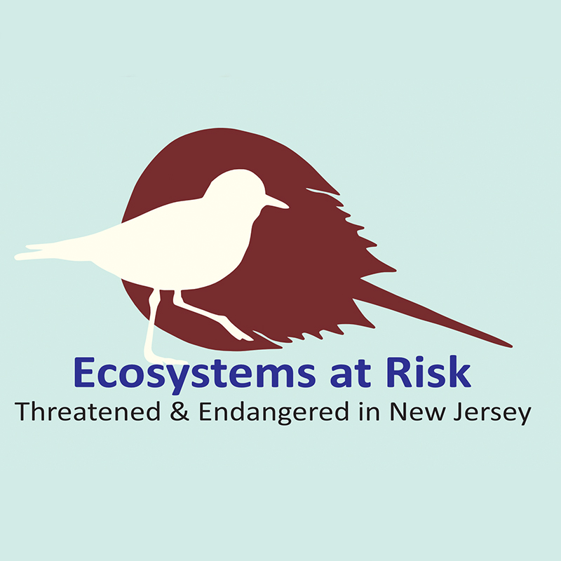 ecosystems